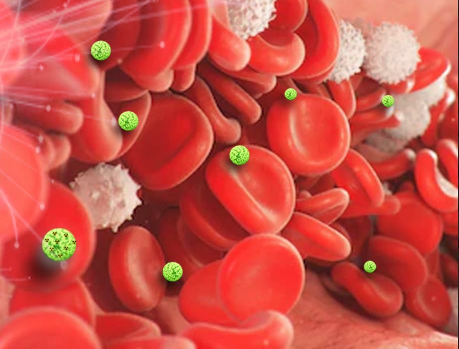  2-4-hemocompatibility-testing-1