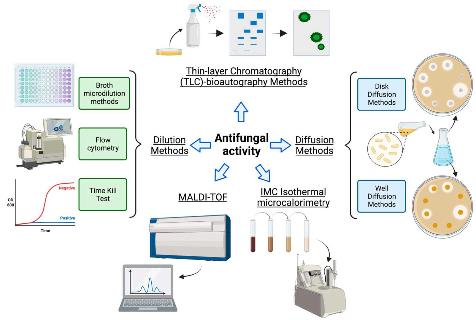 Summary of the principal methods used to evaluate antimicrobial activity