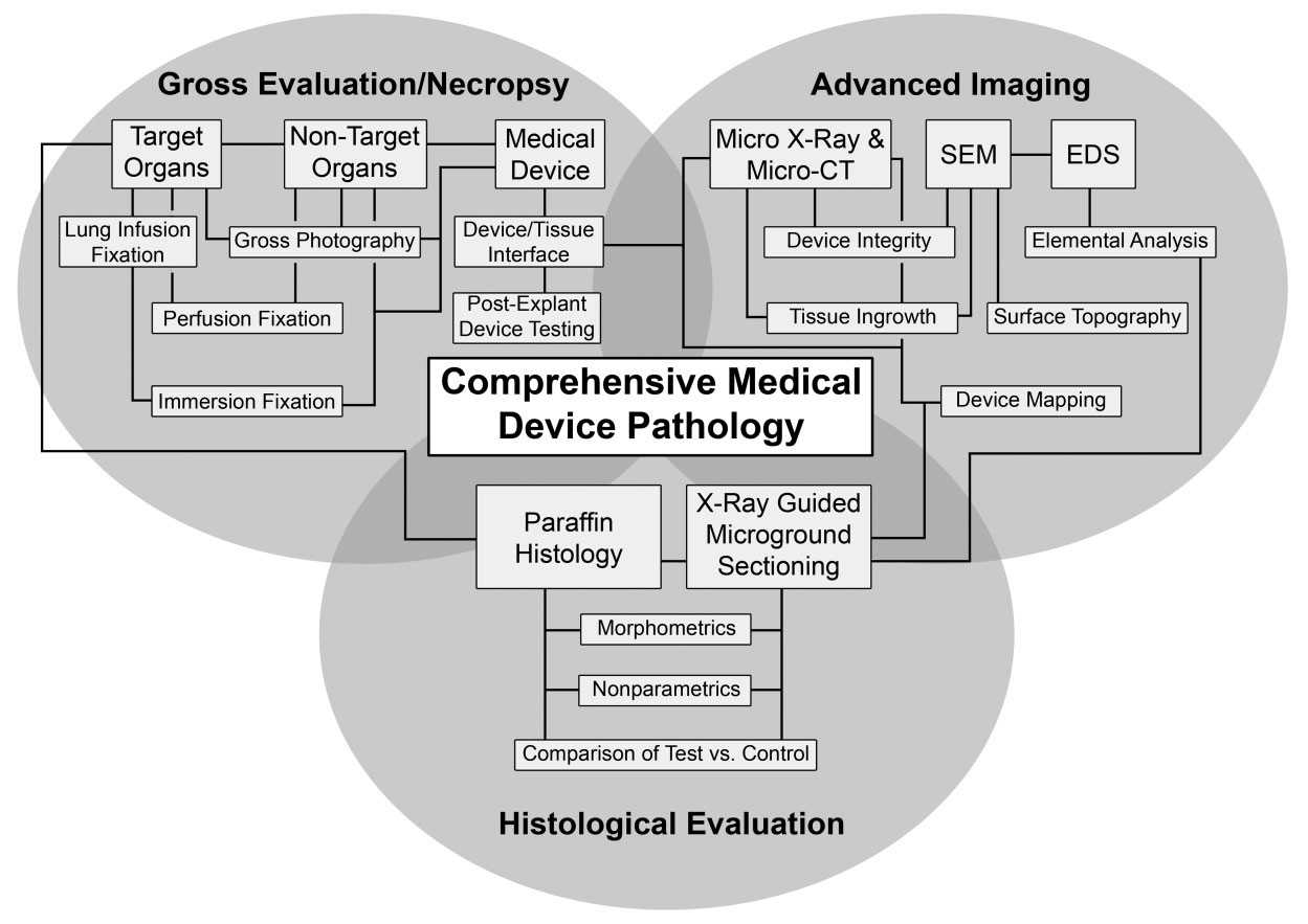 8-2-medical-device-pathology-evaluation-2